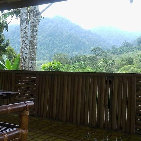 Отель Batu Kapal Jungle Houses Берастаги Экстерьер фото