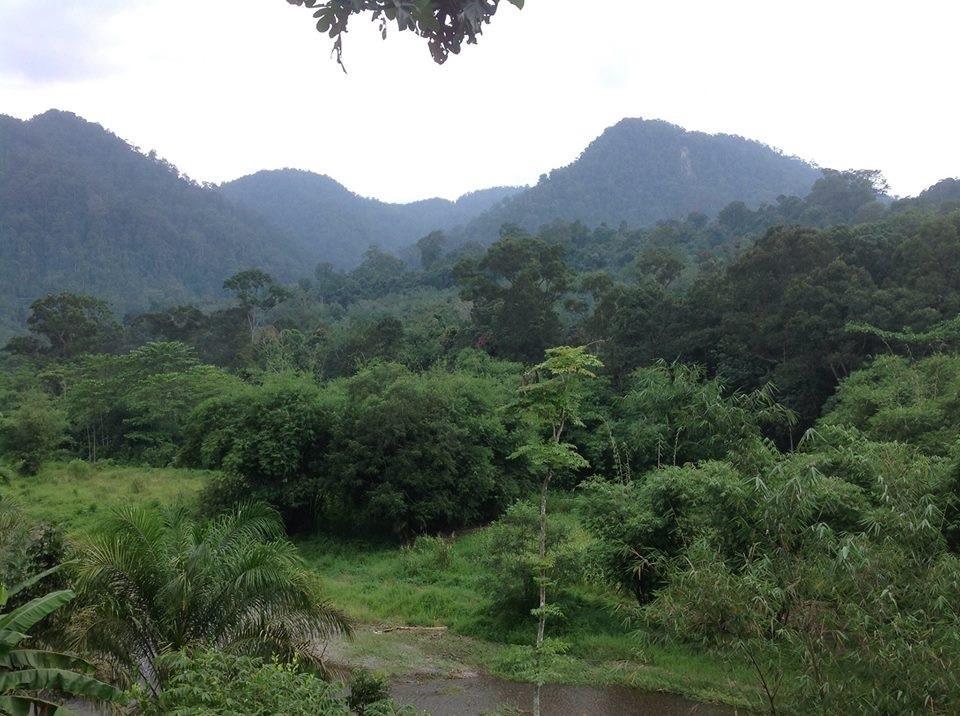 Отель Batu Kapal Jungle Houses Берастаги Экстерьер фото