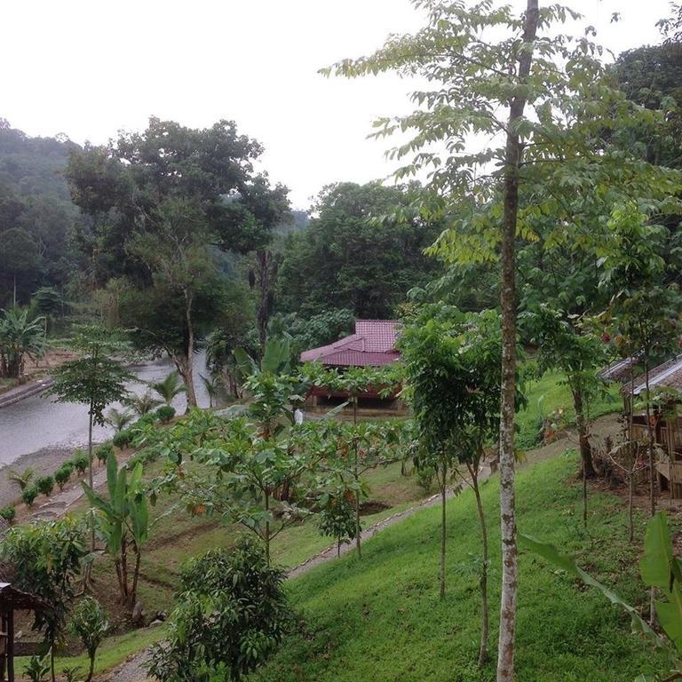 Отель Batu Kapal Jungle Houses Берастаги Экстерьер фото