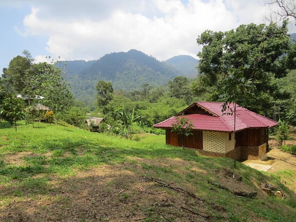 Отель Batu Kapal Jungle Houses Берастаги Экстерьер фото